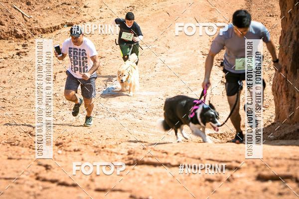 Compra tus fotos del eventoTreino Premiado de Canicross En Fotop