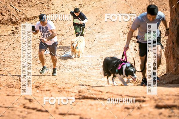 Compra tus fotos del eventoTreino Premiado de Canicross En Fotop