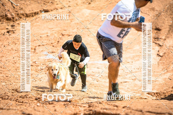 Compra tus fotos del eventoTreino Premiado de Canicross En Fotop