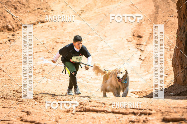 Compre as suas fotos do eventoTreino Premiado de Canicross no Fotop