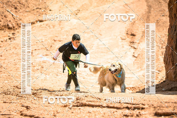 Compre as suas fotos do eventoTreino Premiado de Canicross no Fotop