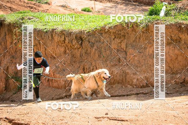 Compre as suas fotos do eventoTreino Premiado de Canicross no Fotop