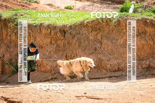 Compre as suas fotos do eventoTreino Premiado de Canicross no Fotop