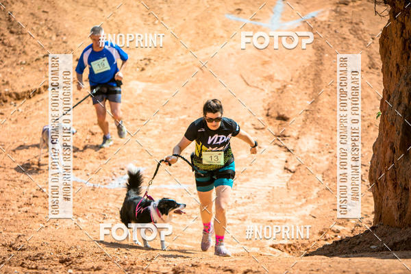 Compre as suas fotos do eventoTreino Premiado de Canicross no Fotop