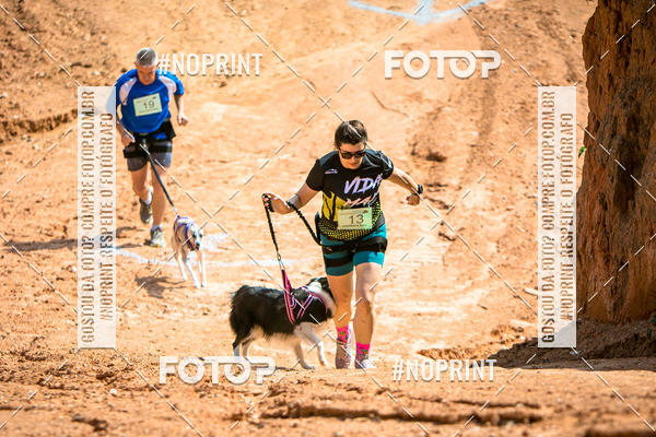 Compre as suas fotos do eventoTreino Premiado de Canicross no Fotop