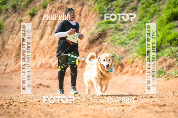 Compre as suas fotos do eventoTreino Premiado de Canicross no Fotop