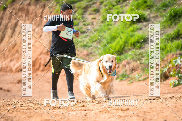 Compre as suas fotos do eventoTreino Premiado de Canicross no Fotop