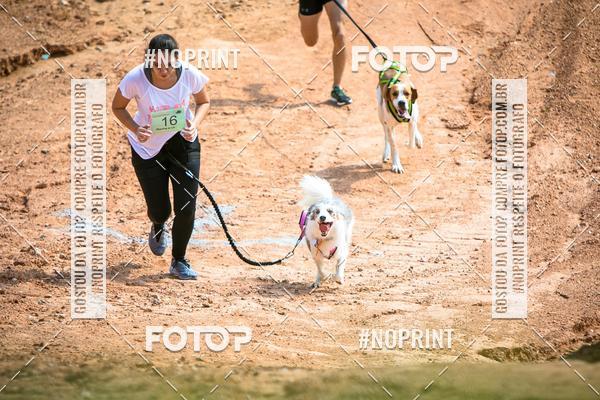 Compre as suas fotos do eventoTreino Premiado de Canicross no Fotop