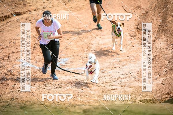 Compre as suas fotos do eventoTreino Premiado de Canicross no Fotop