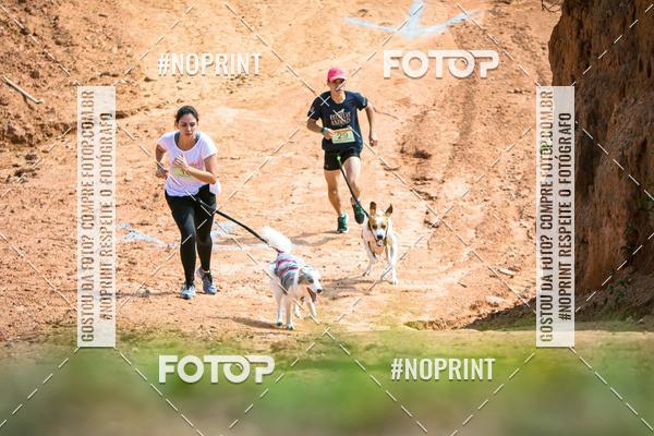 Compre as suas fotos do eventoTreino Premiado de Canicross no Fotop