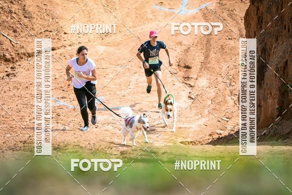 Compre as suas fotos do eventoTreino Premiado de Canicross no Fotop
