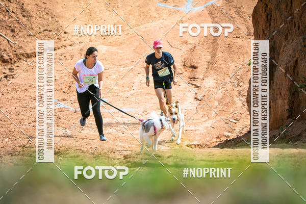 Compre as suas fotos do eventoTreino Premiado de Canicross no Fotop