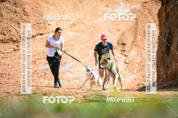 Compre as suas fotos do eventoTreino Premiado de Canicross no Fotop