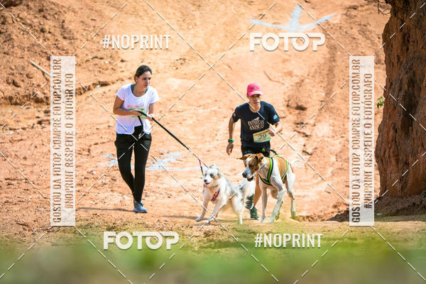 Compre as suas fotos do eventoTreino Premiado de Canicross no Fotop