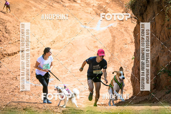 Compre as suas fotos do eventoTreino Premiado de Canicross no Fotop