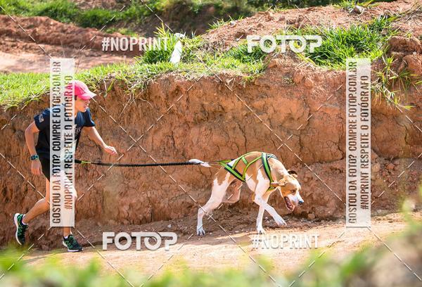 Compre as suas fotos do eventoTreino Premiado de Canicross no Fotop