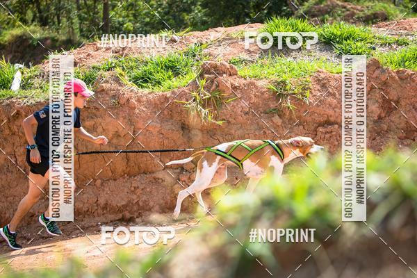 Compre as suas fotos do eventoTreino Premiado de Canicross no Fotop