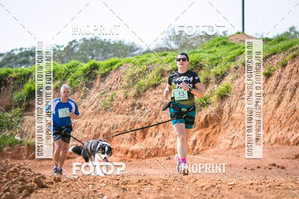 Compre as suas fotos do eventoTreino Premiado de Canicross no Fotop