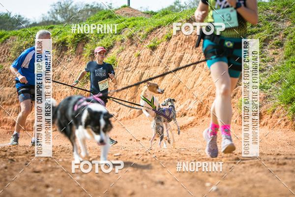 Compre as suas fotos do eventoTreino Premiado de Canicross no Fotop