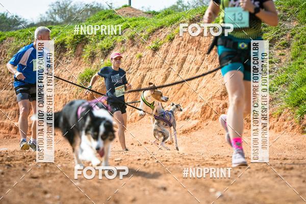 Compre as suas fotos do eventoTreino Premiado de Canicross no Fotop