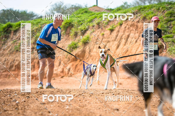 Compre as suas fotos do eventoTreino Premiado de Canicross no Fotop