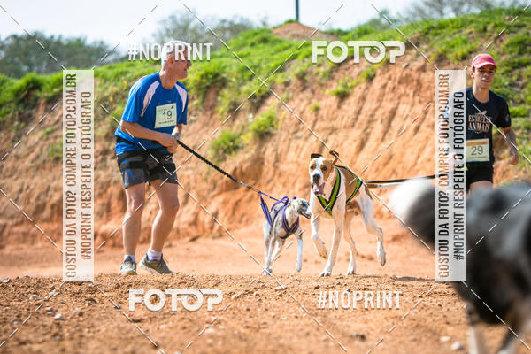 Compre as suas fotos do eventoTreino Premiado de Canicross no Fotop