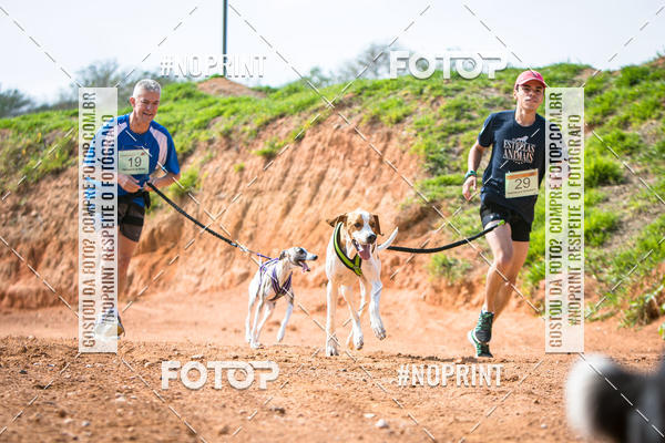 Compre as suas fotos do eventoTreino Premiado de Canicross no Fotop