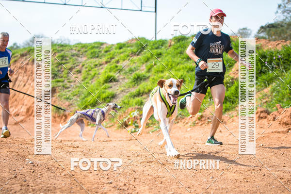 Compre as suas fotos do eventoTreino Premiado de Canicross no Fotop