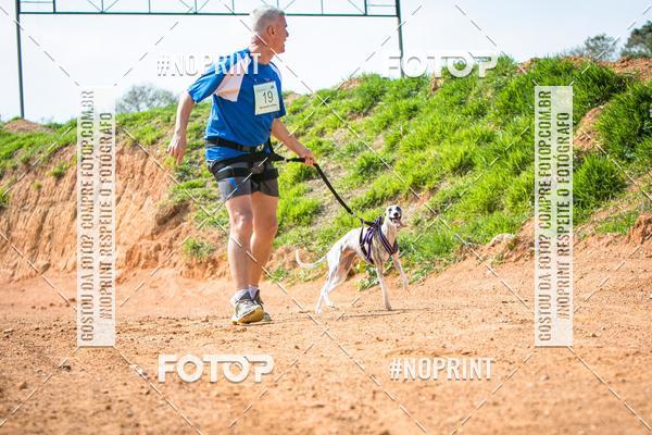 Compre as suas fotos do eventoTreino Premiado de Canicross no Fotop
