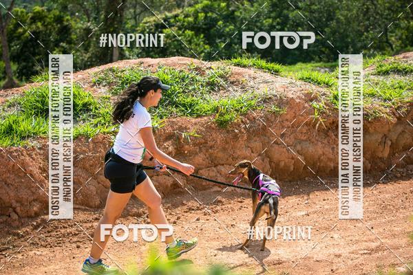 Compre as suas fotos do eventoTreino Premiado de Canicross no Fotop