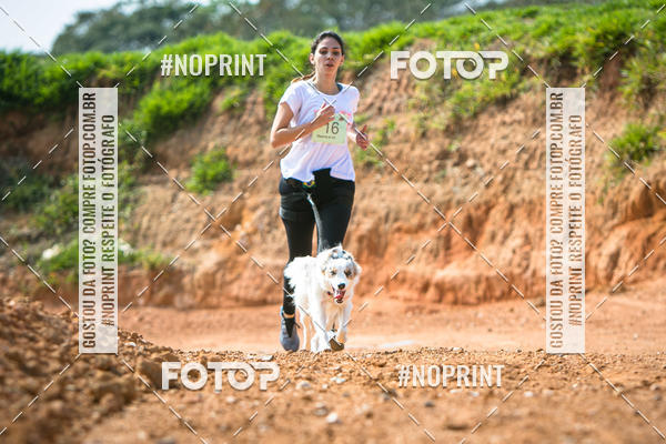 Compre as suas fotos do eventoTreino Premiado de Canicross no Fotop