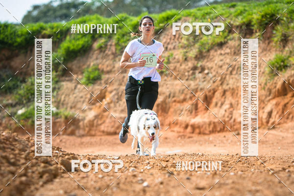 Compre as suas fotos do eventoTreino Premiado de Canicross no Fotop