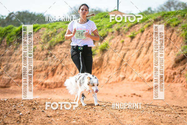 Compre as suas fotos do eventoTreino Premiado de Canicross no Fotop