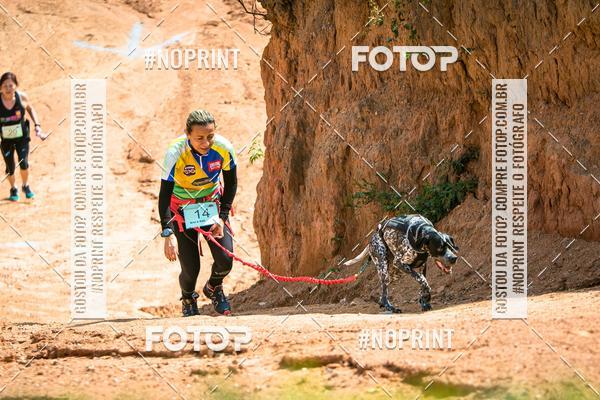Compre as suas fotos do eventoTreino Premiado de Canicross no Fotop