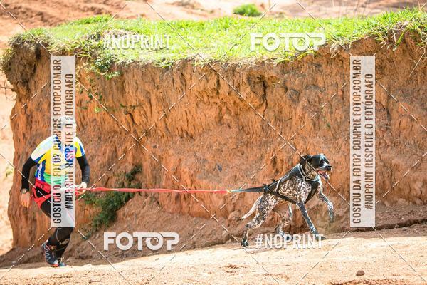 Compre as suas fotos do eventoTreino Premiado de Canicross no Fotop
