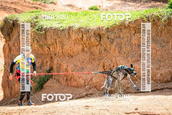 Compre as suas fotos do eventoTreino Premiado de Canicross no Fotop
