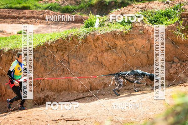 Compre as suas fotos do eventoTreino Premiado de Canicross no Fotop