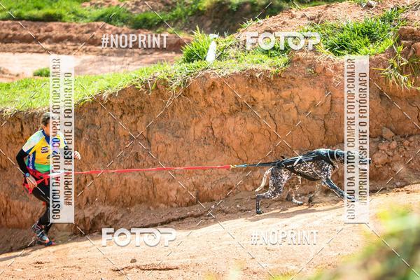 Compre as suas fotos do eventoTreino Premiado de Canicross no Fotop