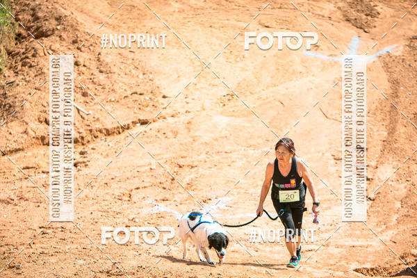 Compre as suas fotos do eventoTreino Premiado de Canicross no Fotop