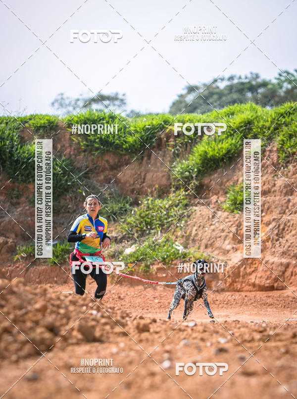 Compre as suas fotos do eventoTreino Premiado de Canicross no Fotop