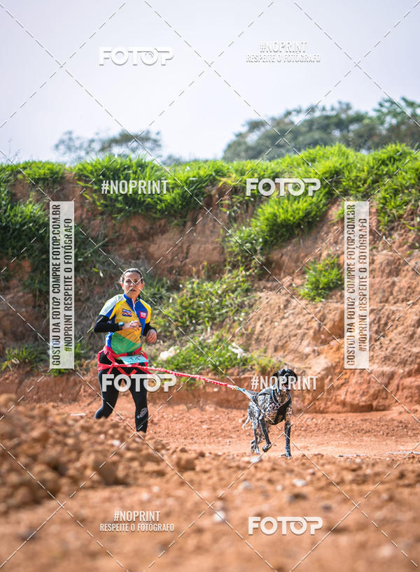Compre as suas fotos do eventoTreino Premiado de Canicross no Fotop