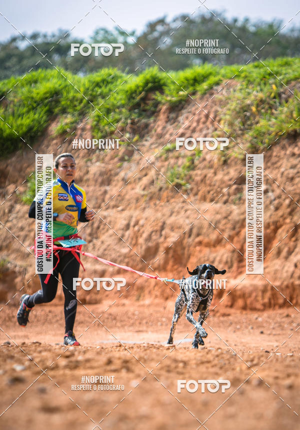 Compre as suas fotos do eventoTreino Premiado de Canicross no Fotop