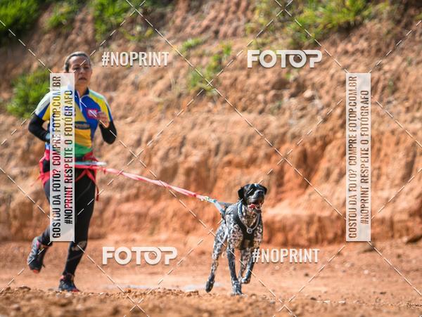 Compre as suas fotos do eventoTreino Premiado de Canicross no Fotop
