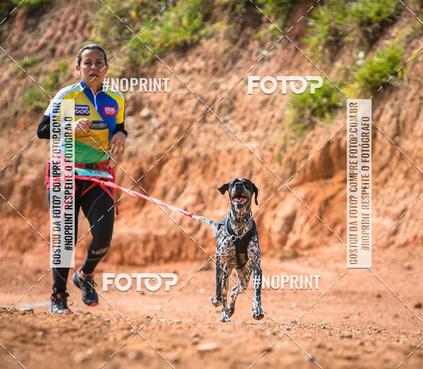 Compre as suas fotos do eventoTreino Premiado de Canicross no Fotop