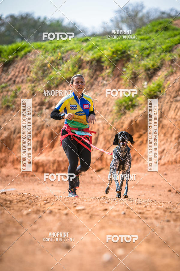 Compre as suas fotos do eventoTreino Premiado de Canicross no Fotop