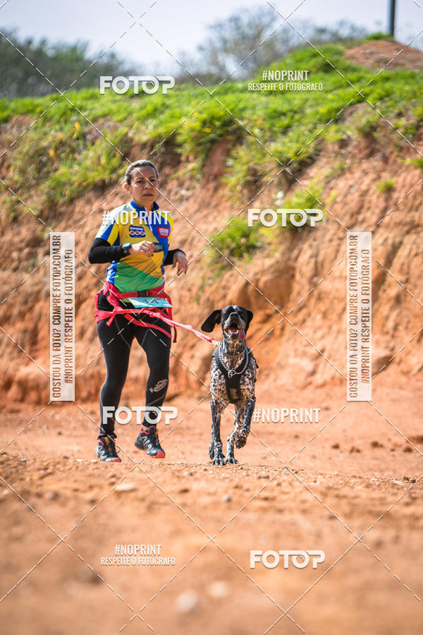 Buy your photos of the eventTreino Premiado de Canicross on Fotop