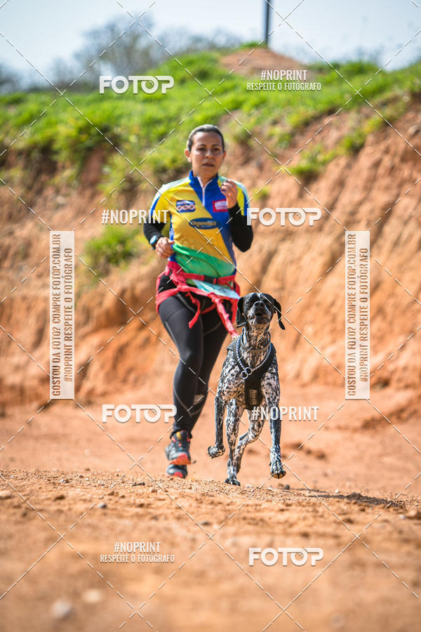 Compre as suas fotos do eventoTreino Premiado de Canicross no Fotop