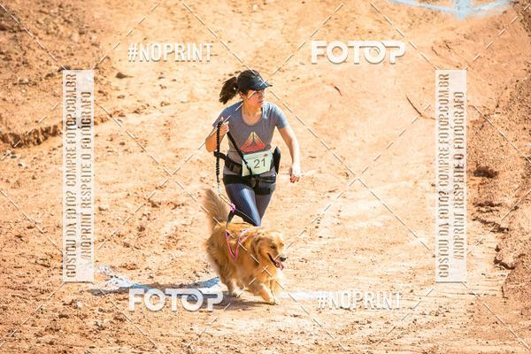 Compre as suas fotos do eventoTreino Premiado de Canicross no Fotop