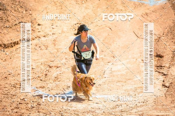 Compre as suas fotos do eventoTreino Premiado de Canicross no Fotop