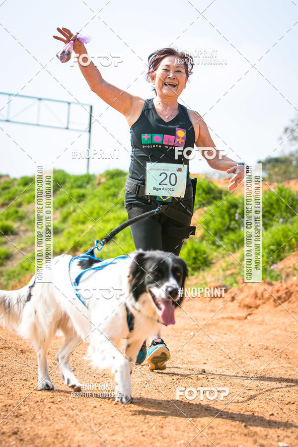Buy your photos of the eventTreino Premiado de Canicross on Fotop